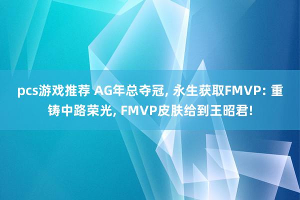 pcs游戏推荐 AG年总夺冠, 永生获取FMVP: 重铸中路荣光, FMVP皮肤给到王昭君!